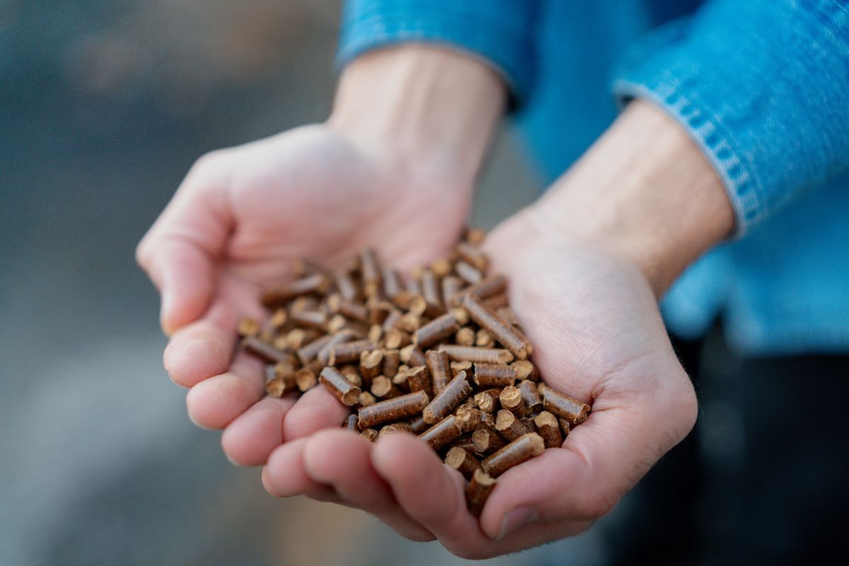 Biomass Pellet