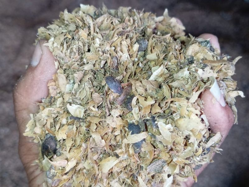 Cangkang Kopi