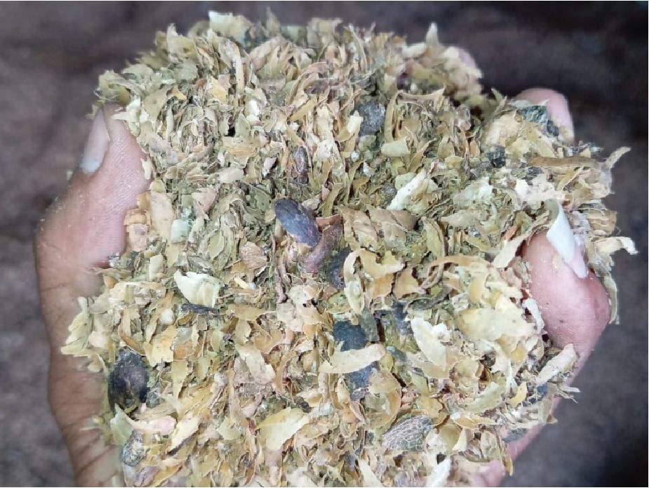 Sawdust (Serbuk Kayu)