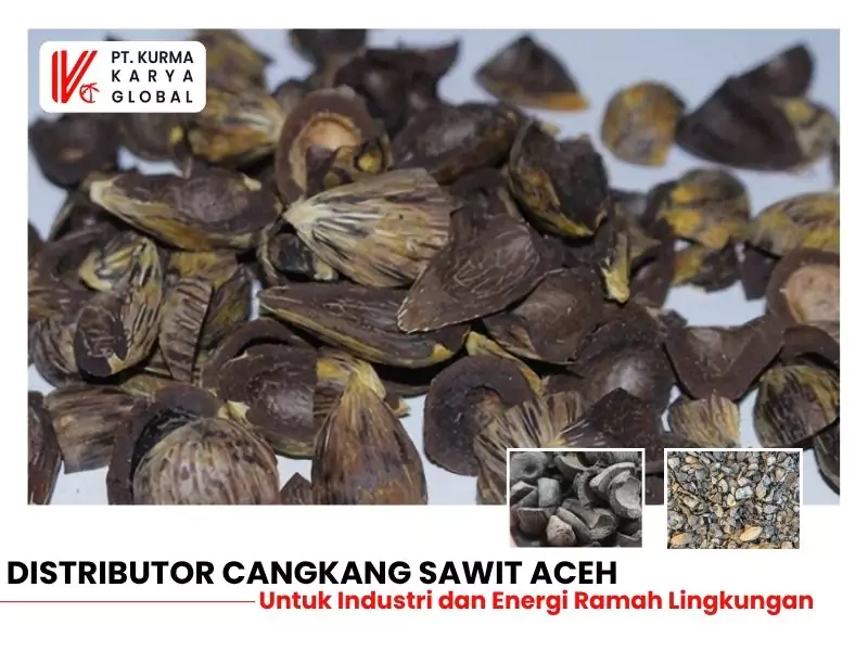 distributor cangkang sawit aceh